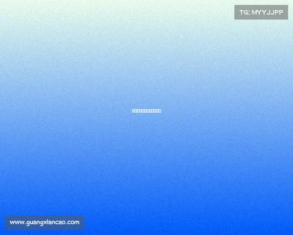 网络电子竞技系统英文缩写